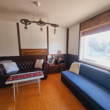 Elch Zimmer Wilderness Life アルビッツヤウル エクステリア 写真