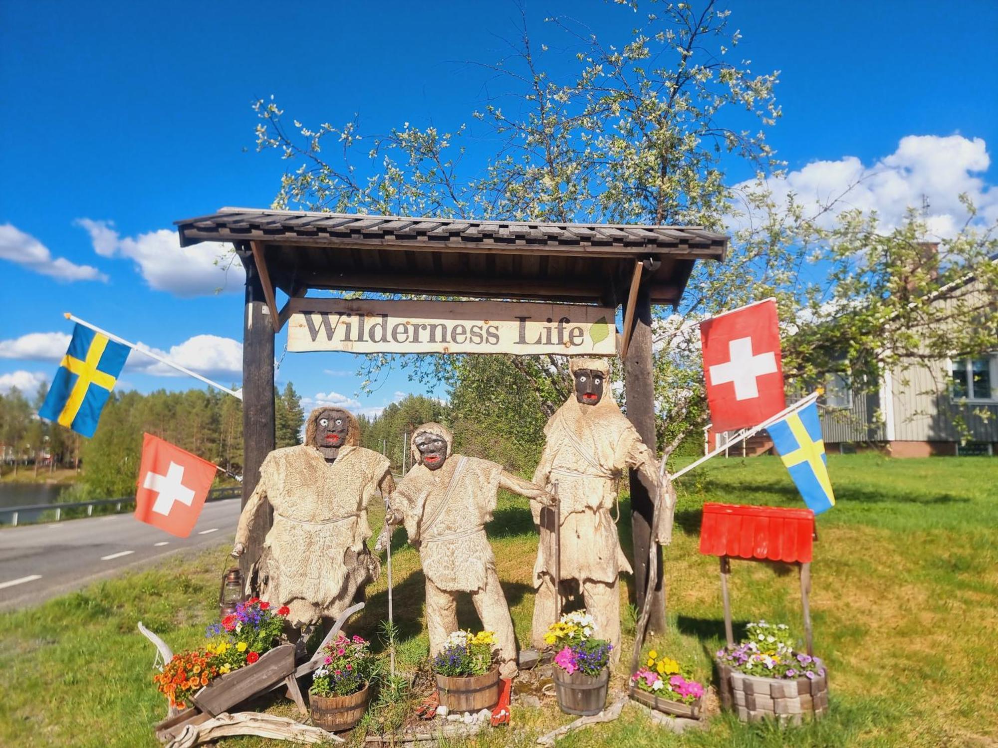 Elch Zimmer Wilderness Life アルビッツヤウル エクステリア 写真